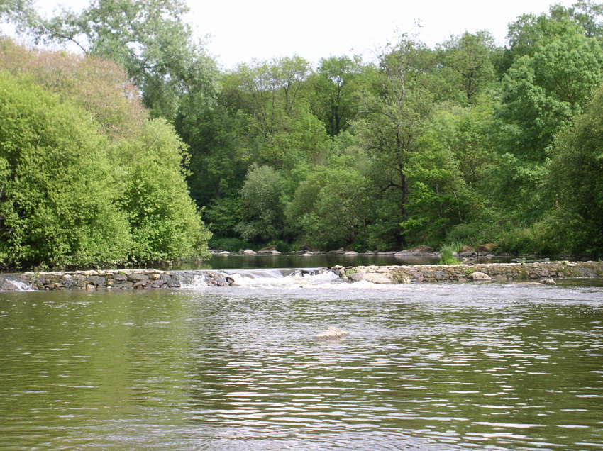 chaussée basse douciniere