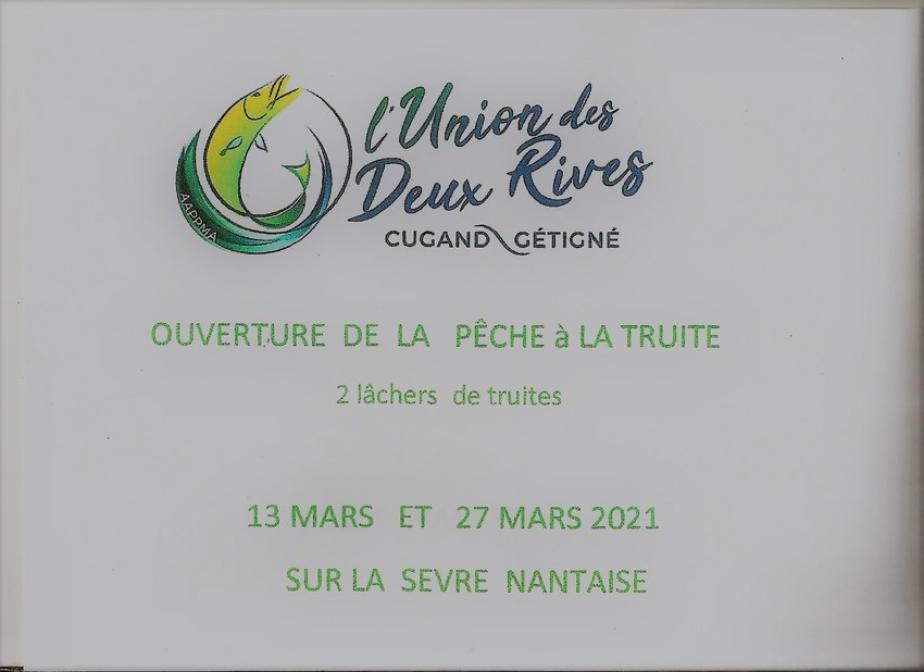 pêche de la truite
