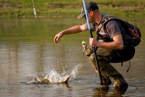 pêche du carnassier