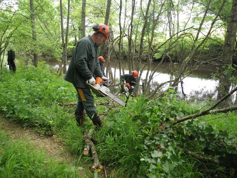 Restauration des berges