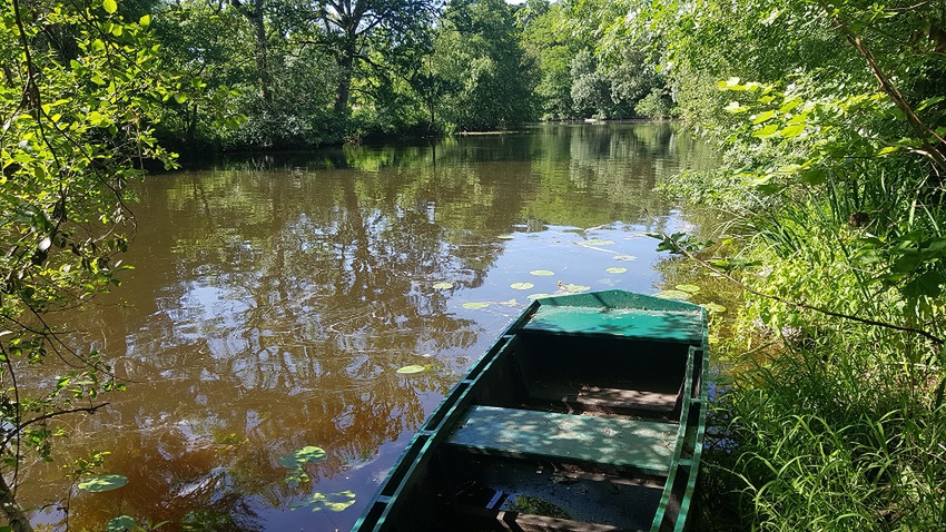 terbin à moulin neuf